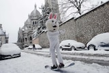 A man wearing a rabbit mask rides his snowboard down the Montmartre hill in Paris.