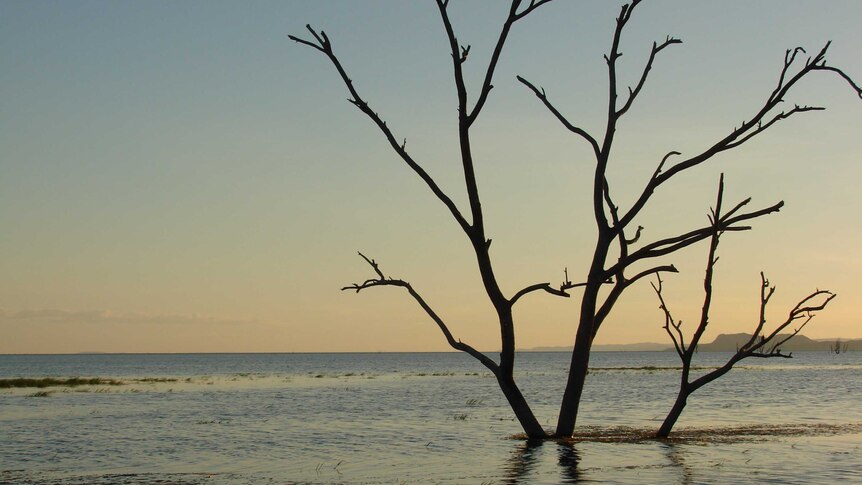 Lake Argyle