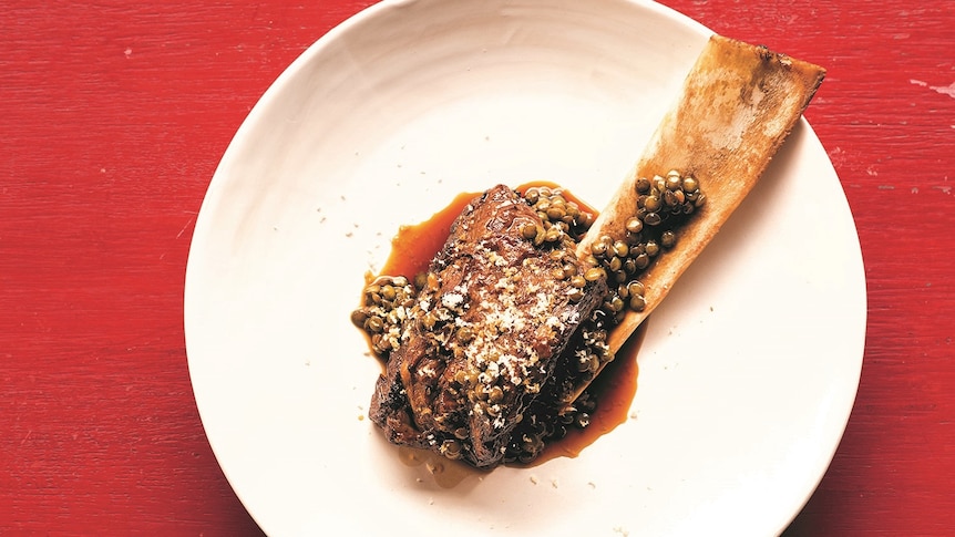 Bone-in braised beef short rib with lentils on a white plate, set on a red table.