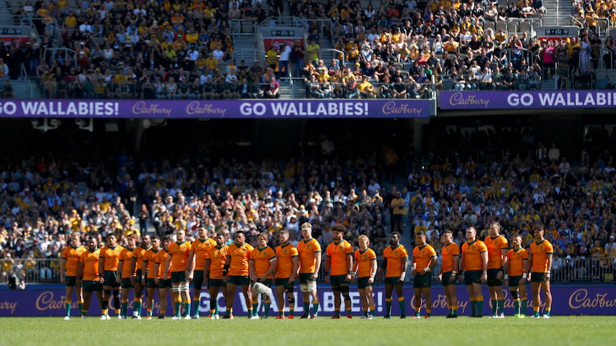 Bledisloe Cup Test scheduled for midweek to avoid AFL, NRL clash