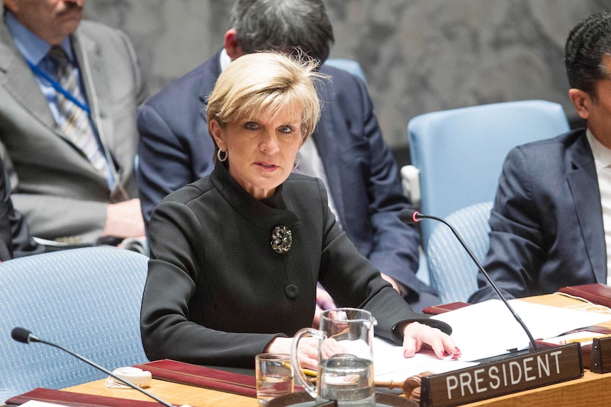Ms Bishop called for the appointment of a UN envoy to counter the spread of violent extremism.