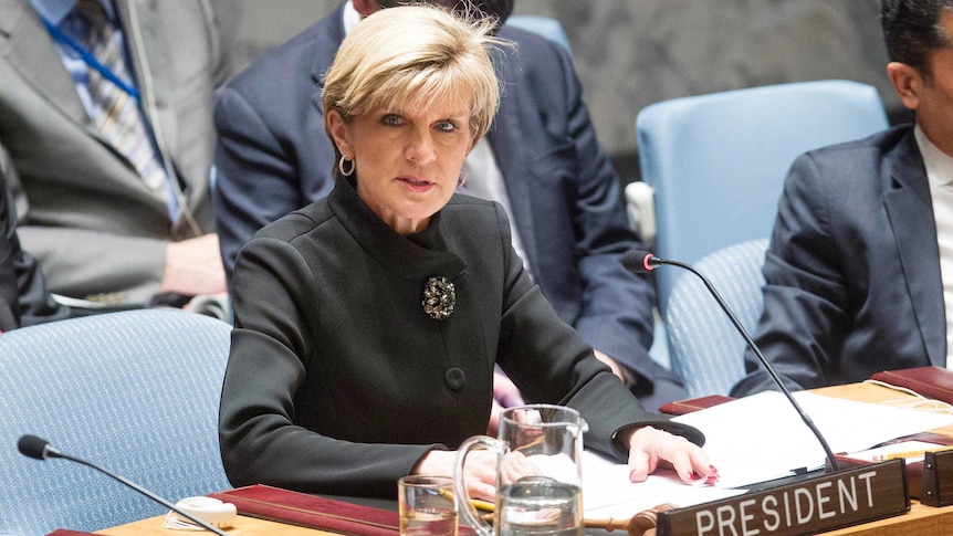 Ms Bishop called for the appointment of a UN envoy to counter the spread of violent extremism.