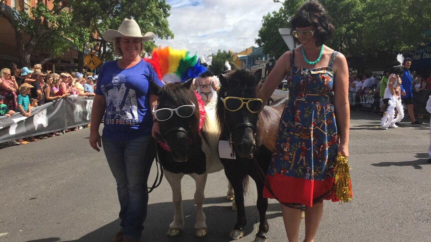 Elvis fans bring ponies to Parkes Elvis Festival parade