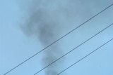 The carbon tax puts a tax on pollution