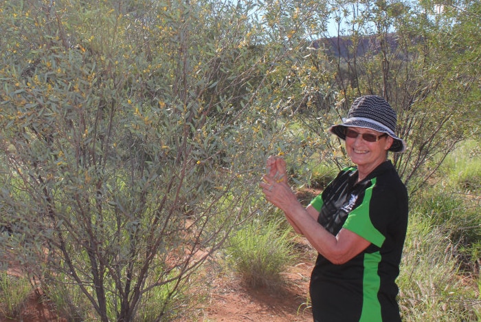 a woman crouches in the desert scrub, surrounded by native plants with yellow sand dunes in the background