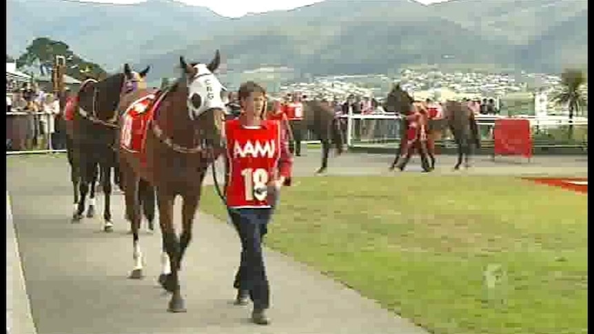 Tasmania's horse racing industry is under pressure.