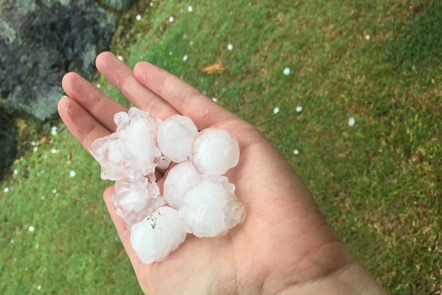 Hail at Shailer Park