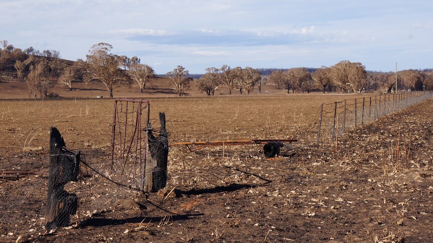 A burnt fence and farm land