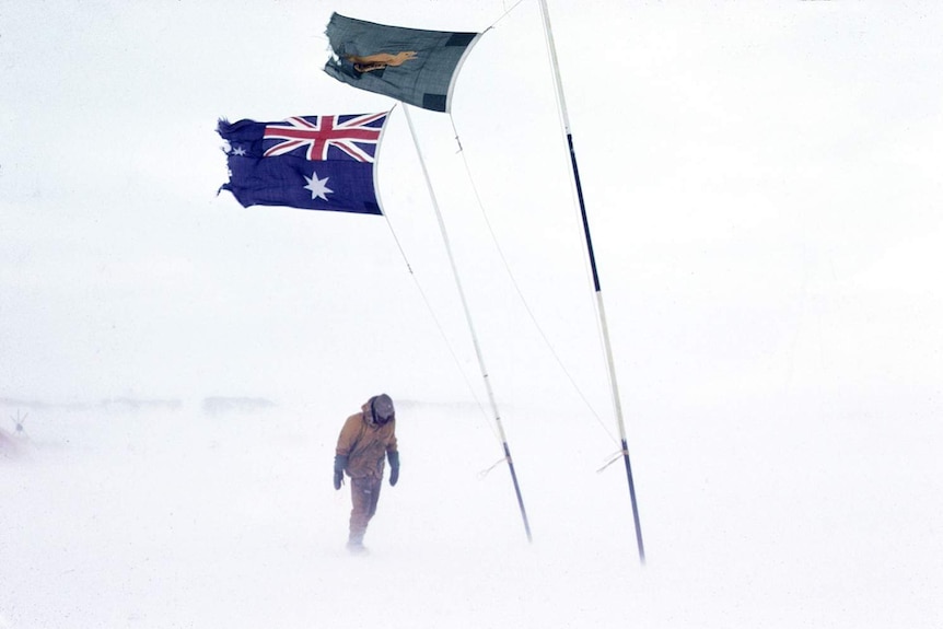 Sydney Kirkby walking in Antarctica, below Australian and boxing kangaroo flags, date unknown.
