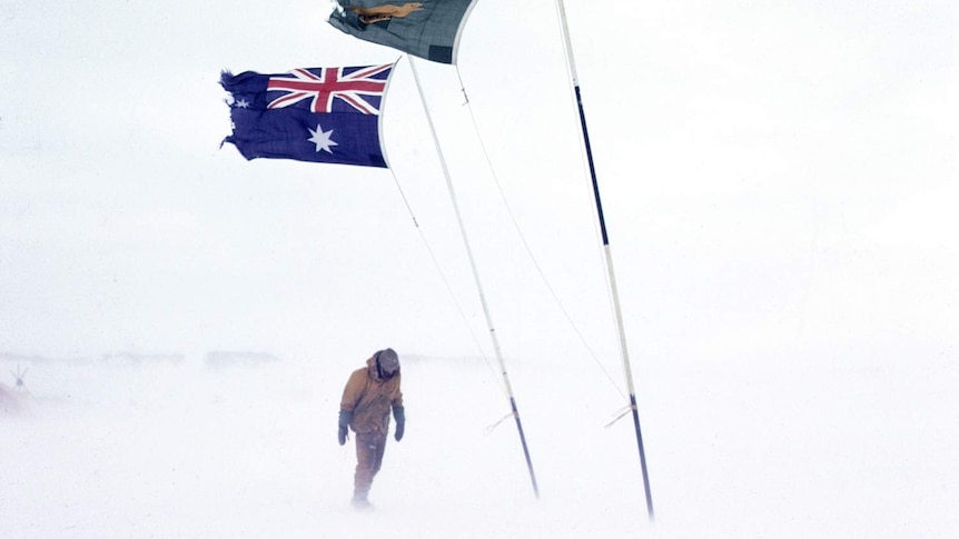 Sydney Kirkby walking in Antarctica, below Australian and boxing kangaroo flags, date unknown.