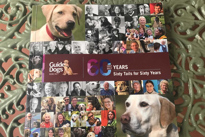The cover of a new book celebrating the 60th anniversary of Guide Dogs NSW/ACT has just been released.