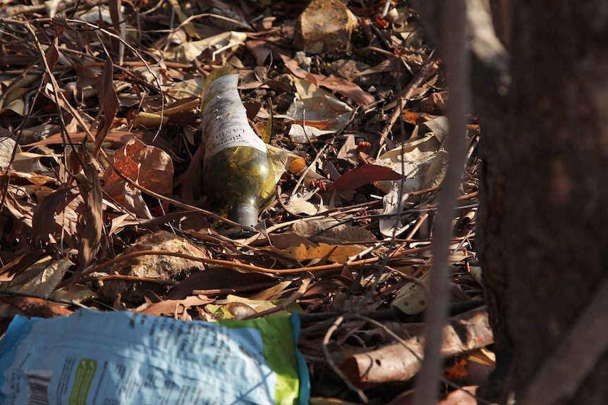 A photo of a broken, discarded wine bottle in bushland.