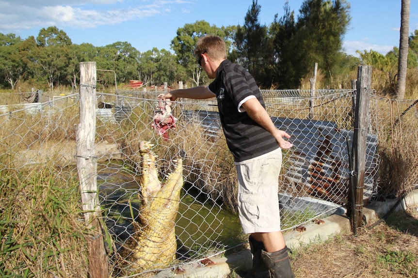 Adam Lever feeds Ziggy