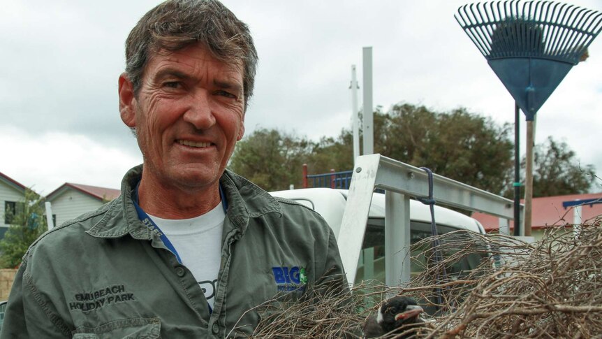 A man holds a bird nest with a magpie chick in it in front of a ute with gardening tools.