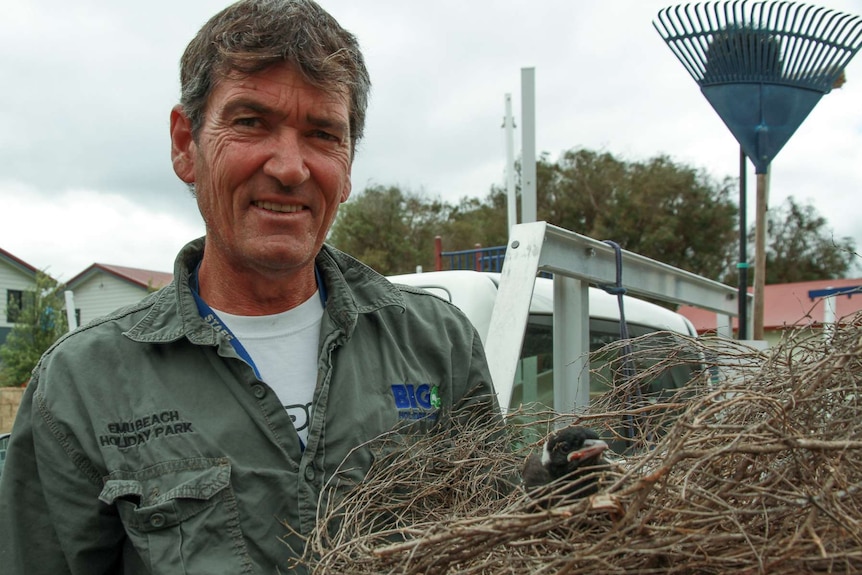 A man holds a bird nest with a magpie chick in front of a ute with gardening tools.