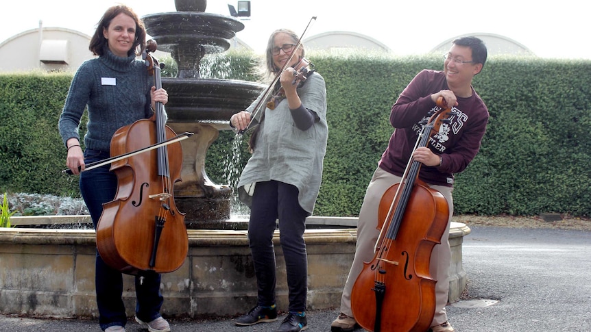Three musicians stand playing their instruments in front of a fountain.