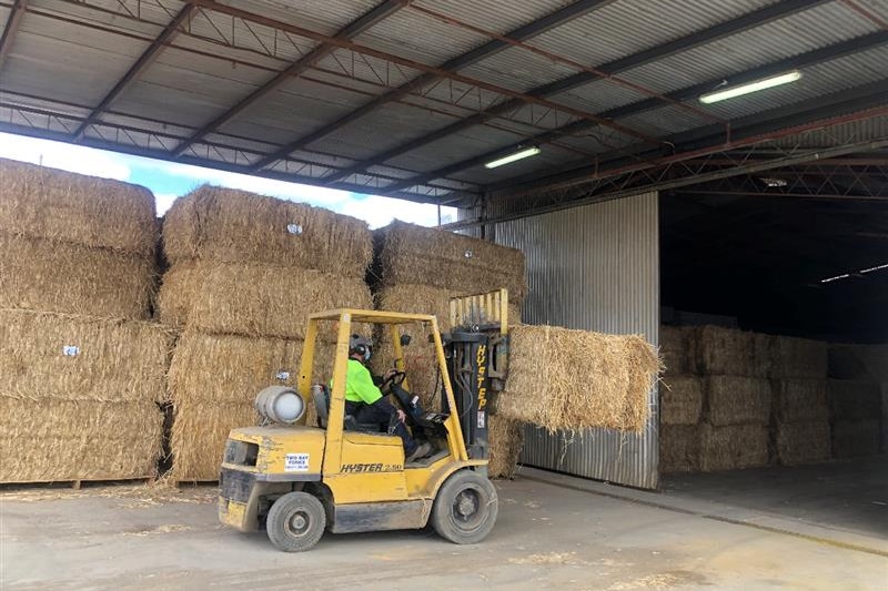 Photo of bales of straw being moved by a tractor