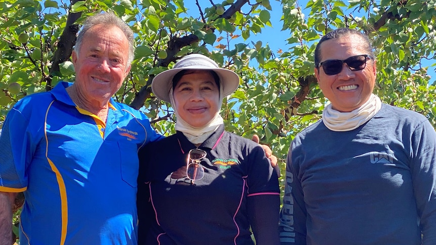 Three people stand in a summer fruit orchard looking happy