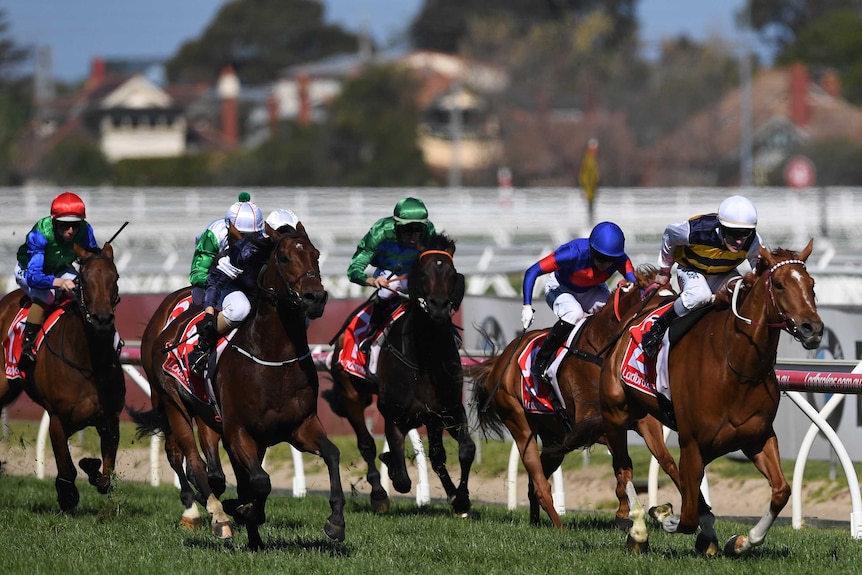 Mark Zahra rides Gailo Chop (R) to victory over Johannes Vermeer (3L) in the Caulfield Stakes.