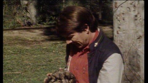 Presenter Don Spencer holds an echidna