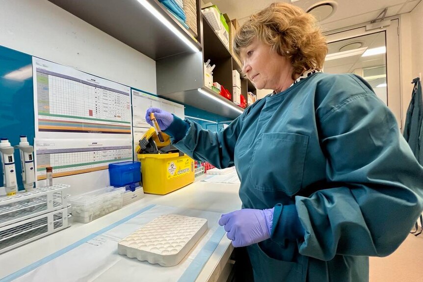 woman in a lab looking at a blood vial