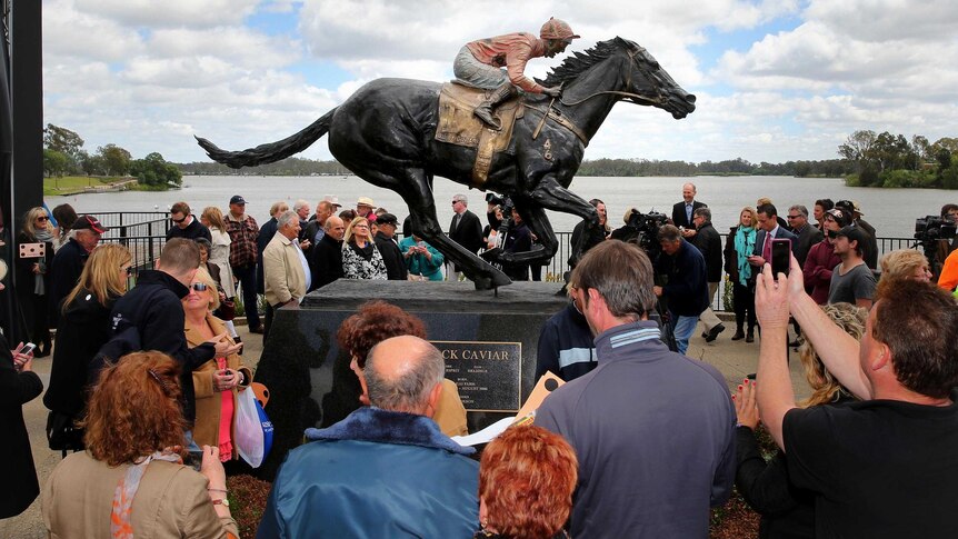 People look at the statue of Black Caviar after it was unveiled in Nagambie.