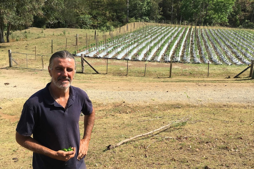 Pepper farmer Richard Mohan