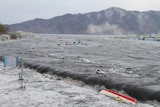 Rubbish from Japan's tsunami is landing in the US