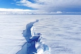 A huge crack emerges in a thick sheet of ice so large it stretches into the horizon.