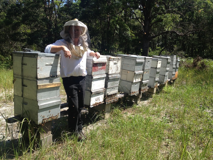 A man, with protected head gear, stands near bee hives