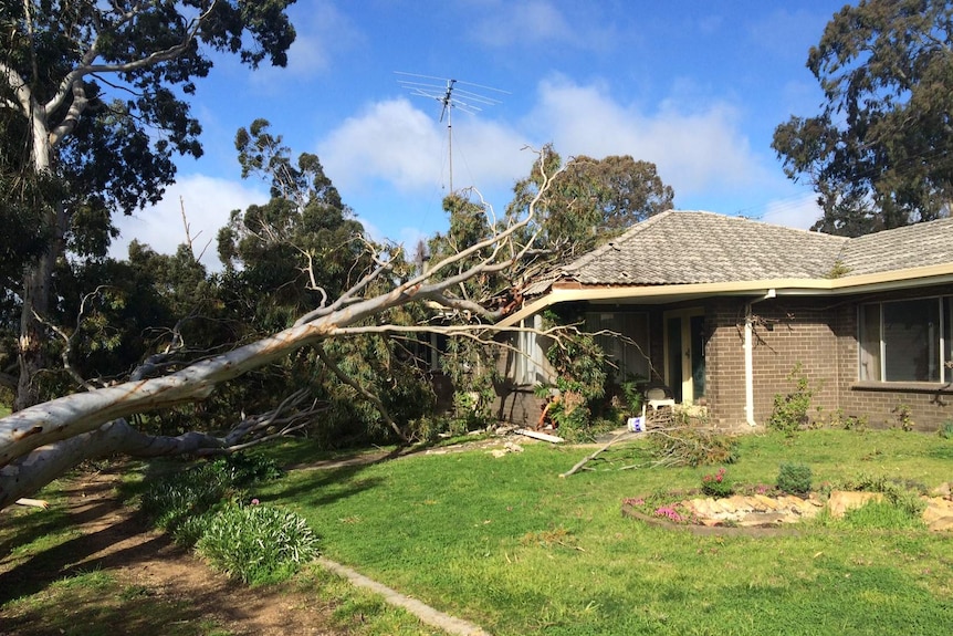 damaged house at Macclesfield