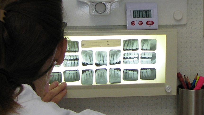 A dentist examines X-rays of teeth.