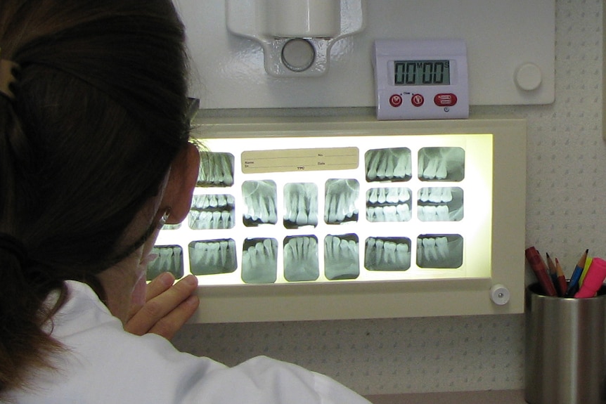 Dentist examines xray
