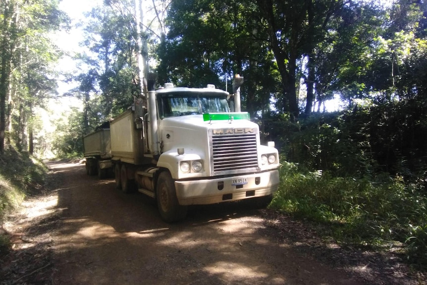 A large white truck and trailer in the bush of tall trees.