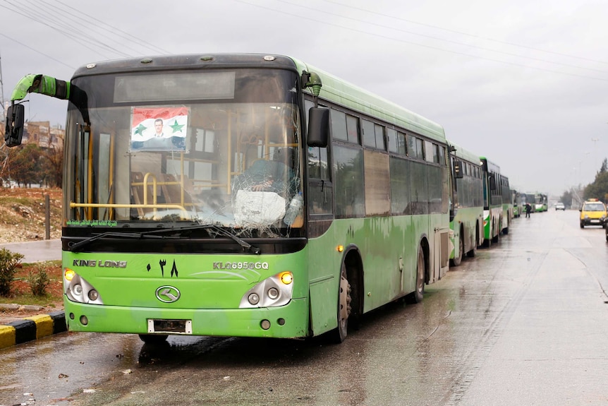Green buses form a long line on the edge of a road.
