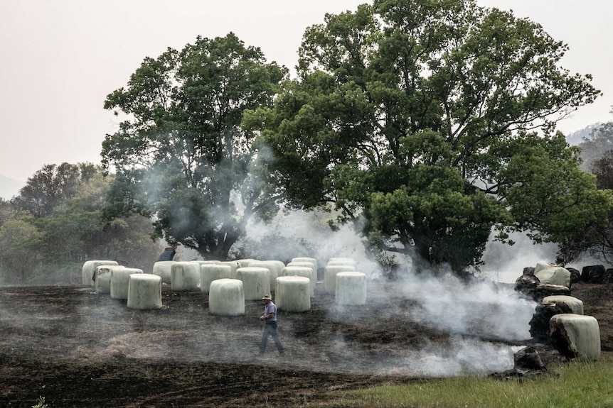 Farmer Peter Heagney assessing his burnt out hay farm in Bobin.