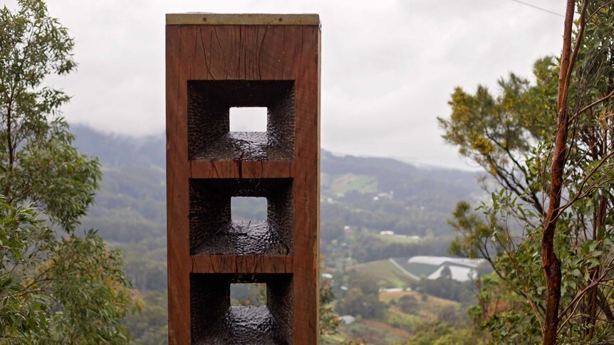 A tall wooden sculpture located at a lookout along the Gumgali Track.
