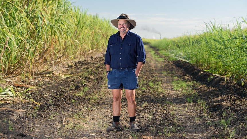 Wide shot of a canegrower wearing a dark shit, a hat and boots standing in a sugarcane field.