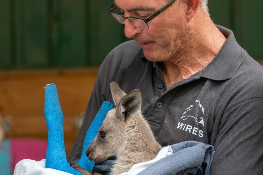 Kevin holds injured joey