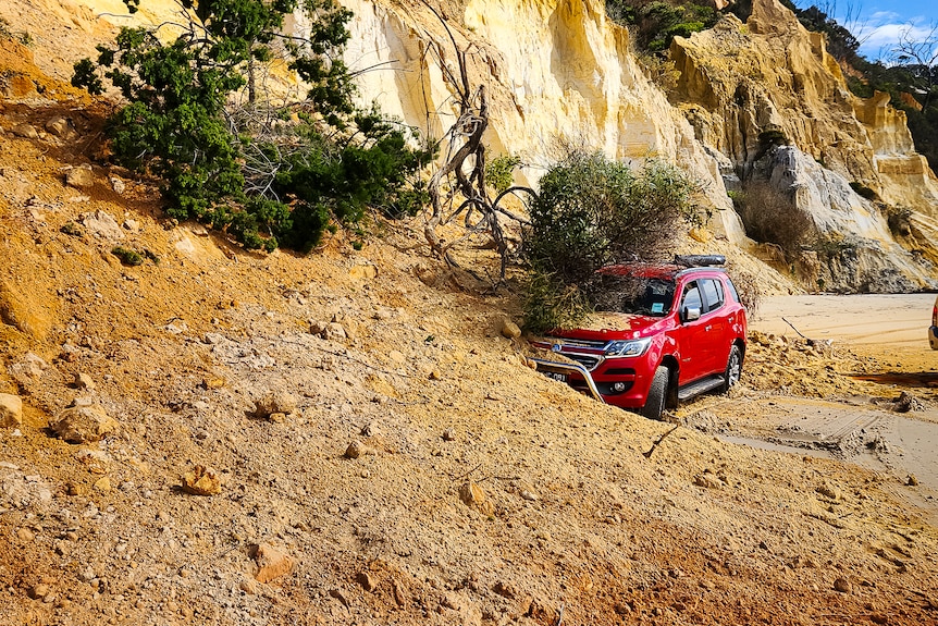 A red car is just showing out of soil and trees which have slipped off a hill on a beach