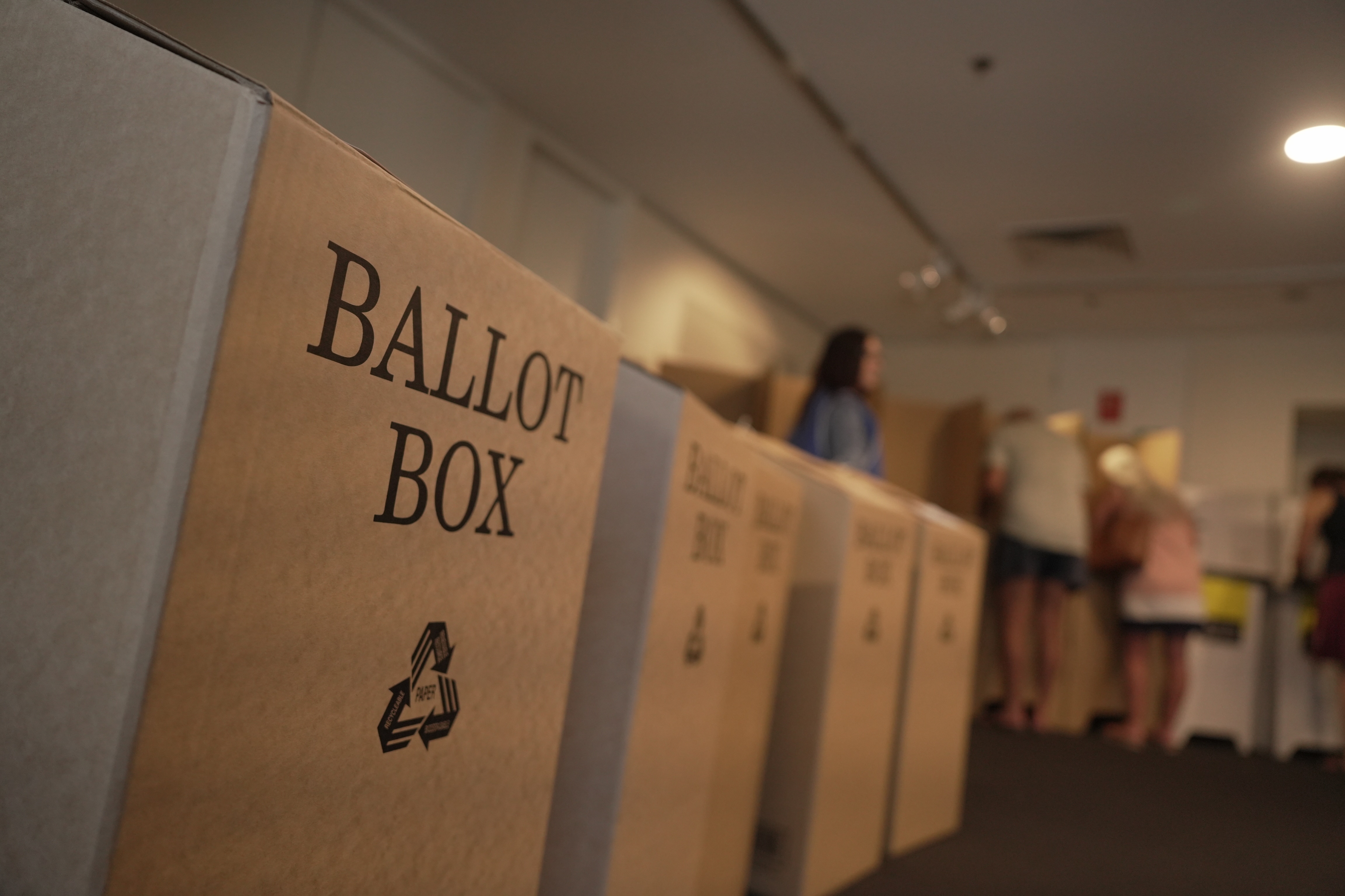 Local Council elections