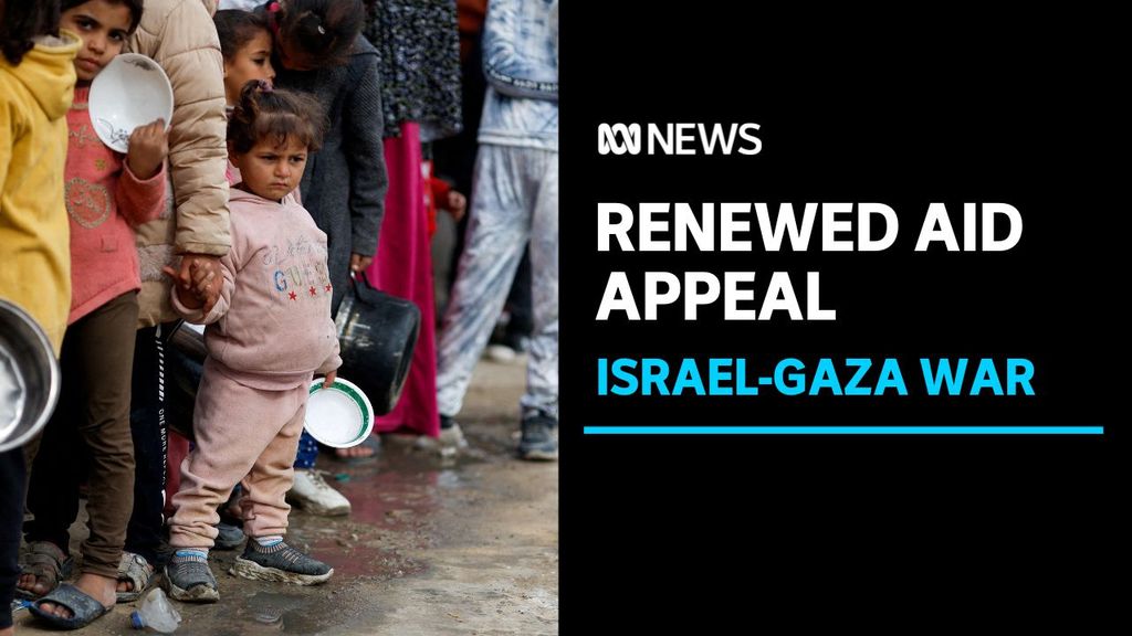 UN renews appeal for aid to flow into Gaza - ABC News