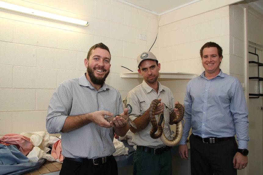 Government officers hold a snake which was rescued by police.