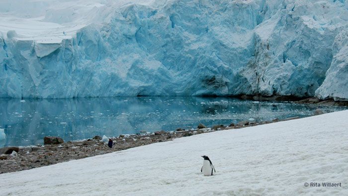 Стерильно ли озеро Восток Часть-2 (Александр Зинковский) / Проза.ру