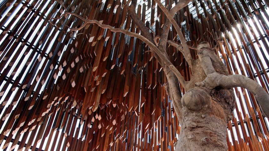 Barcaldine's Tree of Knowledge Monument