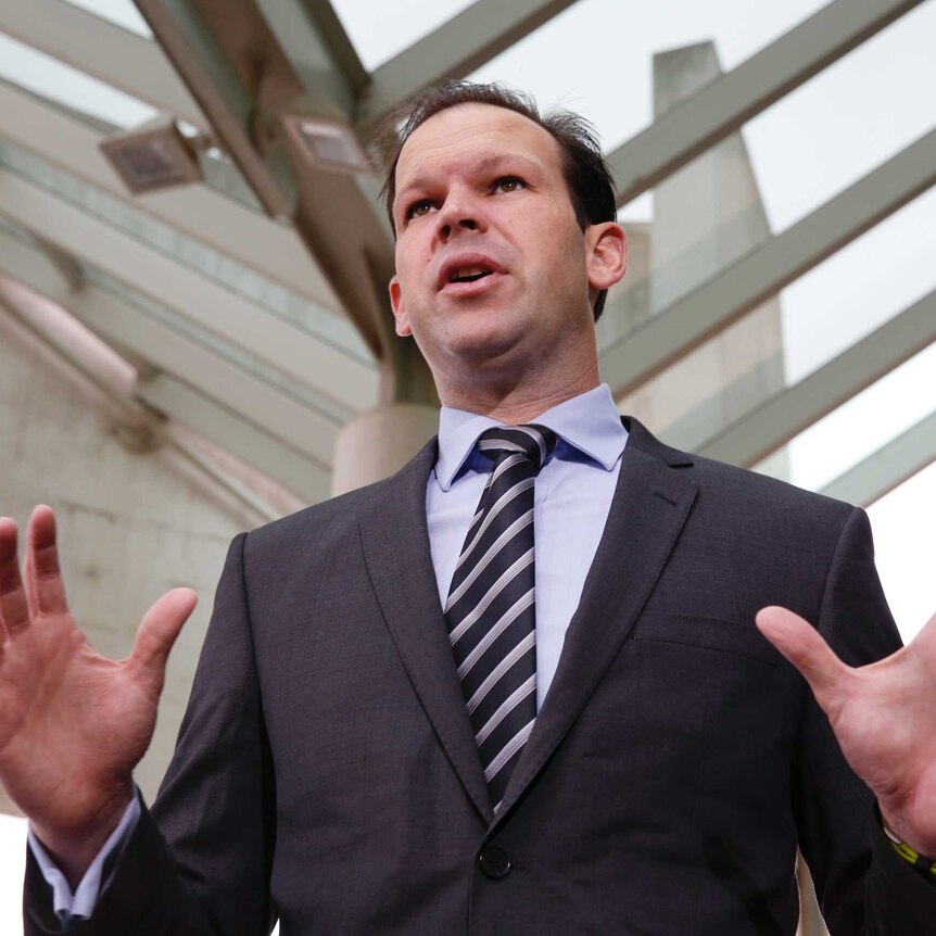 Nationals senator Matt Canavan addresses media, low angle looking up at him with his arms outstretched