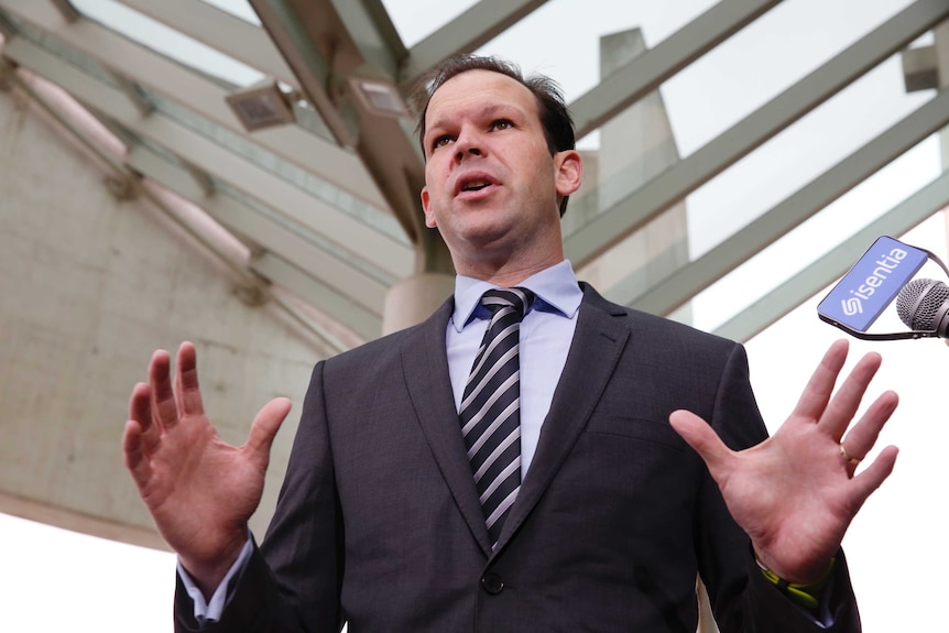 Nationals senator Matt Canavan addresses media, low angle looking up at him with his arms outstretched