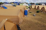 A group of tents made from cardboard, at a music festival.