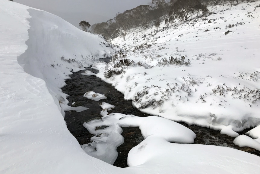 A creek trickles through the snow.