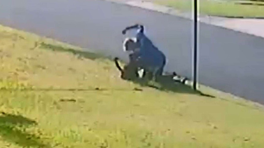 A CCTV still shows a man pulling his arm back to punch a dog on a Mackay street.